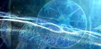 LE VOYAGE INTRACELLULAIRE